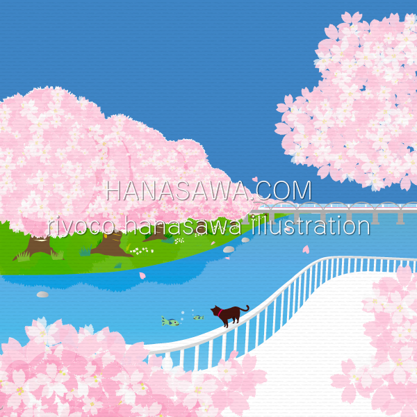RiyocoHanasawa-ILLUSTRATION/2018・川沿いの桜と黒猫