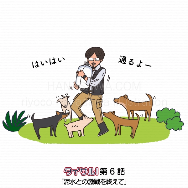 タイサル！6話挿絵-犬たちに囲まれ水を運ぶ豊田博士