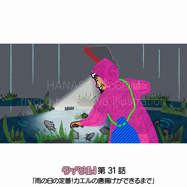 タイサル！31話挿絵-雨の中ヘッドライトで池の中を照らし、カエルを獲る職員のおじさん